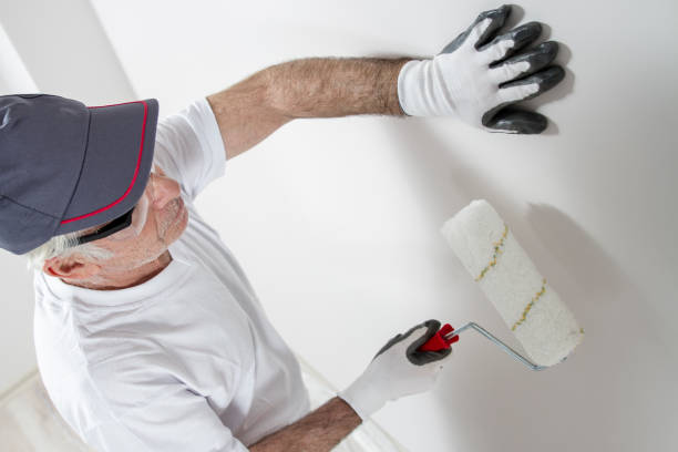 Best Emergency Mold Remediation  in , ND