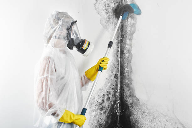 Best Crawl Space Mold Remediation  in , ND