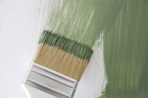  , ND Mold Removal Pros