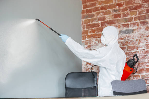 Best Airborne Mold Testing  in , ND