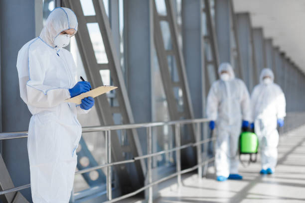 Best Basement Mold Removal  in , ND
