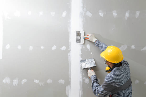 Best Commercial Mold Inspection  in , ND