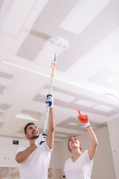 Best Mold Damage Restoration  in , ND