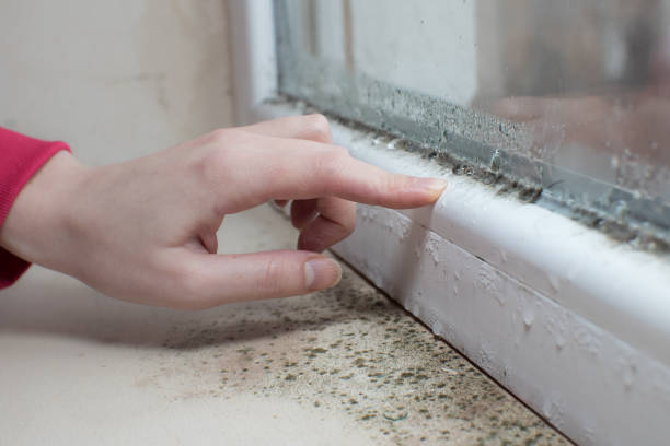 Best Mold Remediation for Healthcare Facilities  in , ND