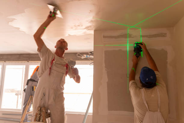 Best Industrial Mold Remediation  in , ND