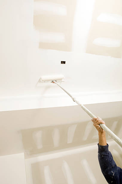 Best Post-Construction Mold Inspection  in , ND