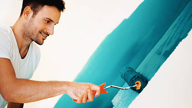 Best Mold Prevention Services  in , ND