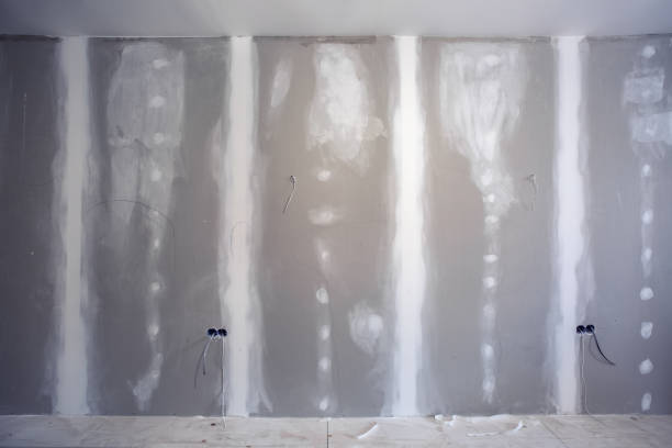 Best Forensic Mold Investigation  in , ND